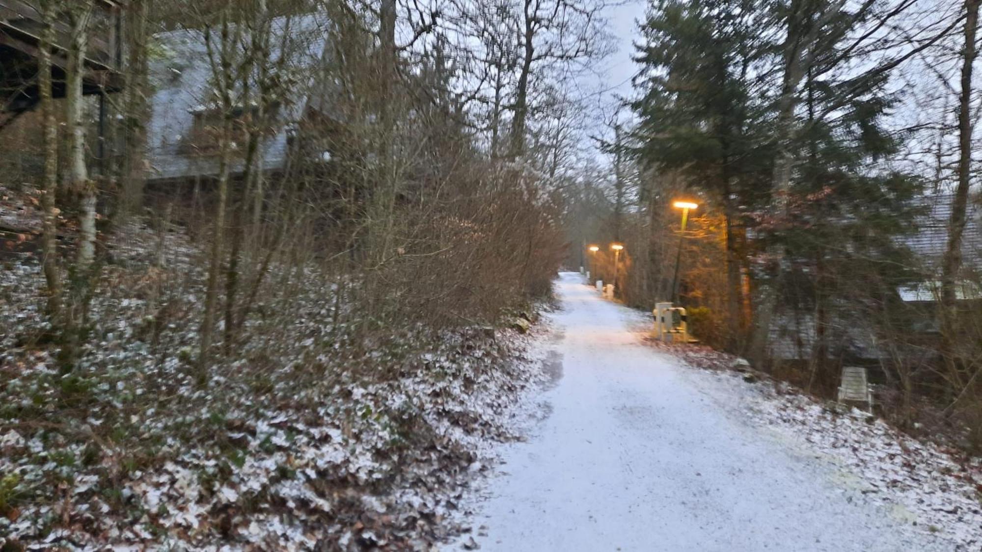 De Bosannemoon In Durbuy Villa Buitenkant foto
