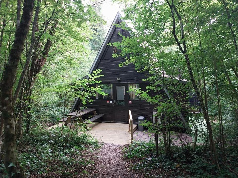 De Bosannemoon In Durbuy Villa Buitenkant foto